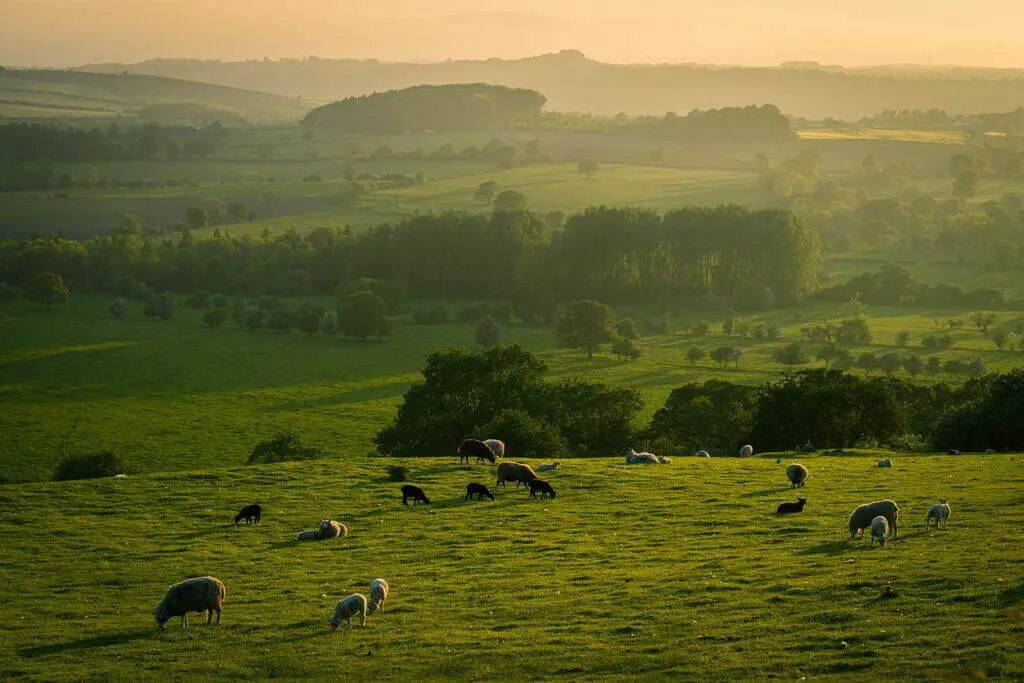 countryside
