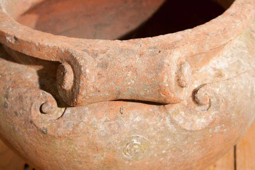celtic pot